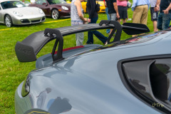 e_2023-07-22-DER-PCA-Porsches-in-the-Park-206