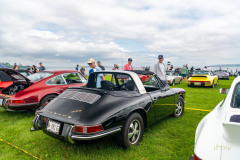 e_2023-07-22-DER-PCA-Porsches-in-the-Park-220
