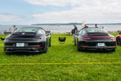 e_2023-07-22-DER-PCA-Porsches-in-the-Park-251