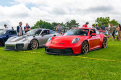 e_2023-07-22-DER-PCA-Porsches-in-the-Park-276