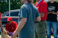 e_2023-07-22-DER-PCA-Porsches-in-the-Park-364