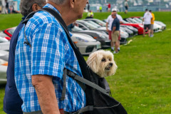 e_2023-07-22-DER-PCA-Porsches-in-the-Park-76