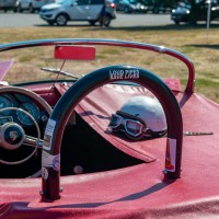 e_2022-07-23-DER-Porsches-in-the-Park-12