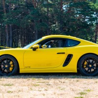 e_2022-07-23-DER-Porsches-in-the-Park-20