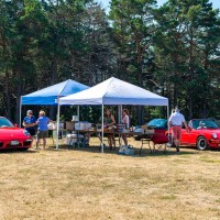 e_2022-07-23-DER-Porsches-in-the-Park-42