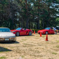 e_2022-07-23-DER-Porsches-in-the-Park-49