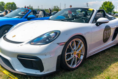 e_2024-07-27-DER-Porsches-in-the-Park-59