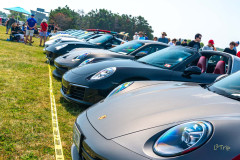 e_2024-07-27-DER-Porsches-in-the-Park-88